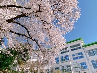 桜が丘小学校校舎